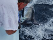 Jarrett Bay 55